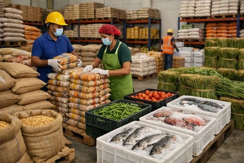 Staff packing fresh produce, grains and seafood at a Nuwaan Enterprises facility