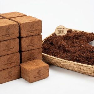 Coir Cubes